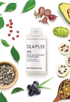 Olaplex-No-5